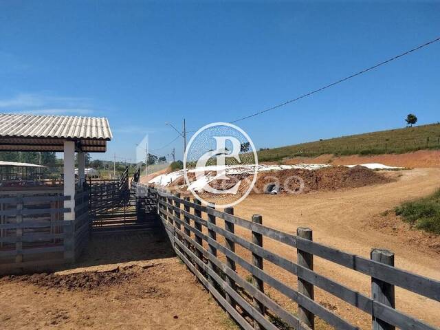 #63 - Fazenda para Venda em Caçapava - SP
