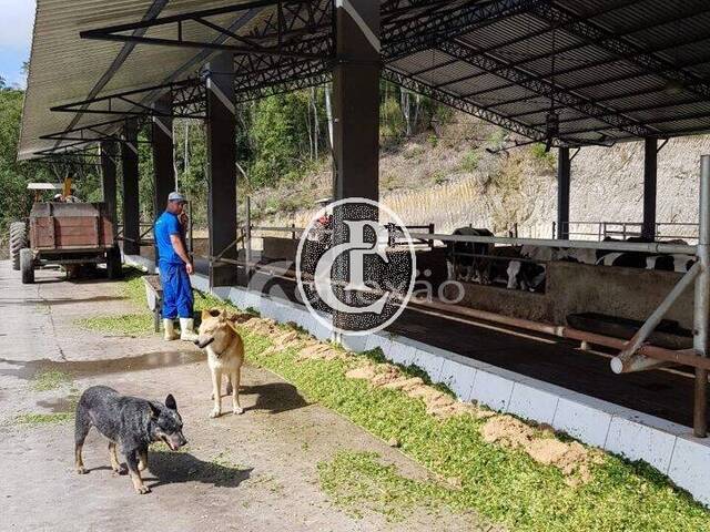 Fazenda para Venda em São Luíz do Paraitinga - 5