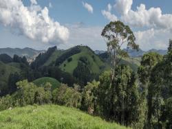 Chácara para Venda em Natividade da Serra - 4