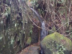 Chácara para Venda em Natividade da Serra - 5