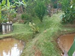 Chácara para Venda em Paraibuna - 5