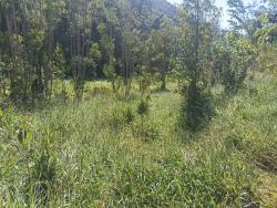 Sítio para Venda em Paraibuna - 4