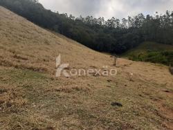 Sítio para Venda em Paraibuna - 4