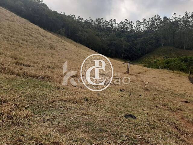 Sítio para Venda em Paraibuna - 4