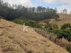Sítio para Venda em Paraibuna - 3