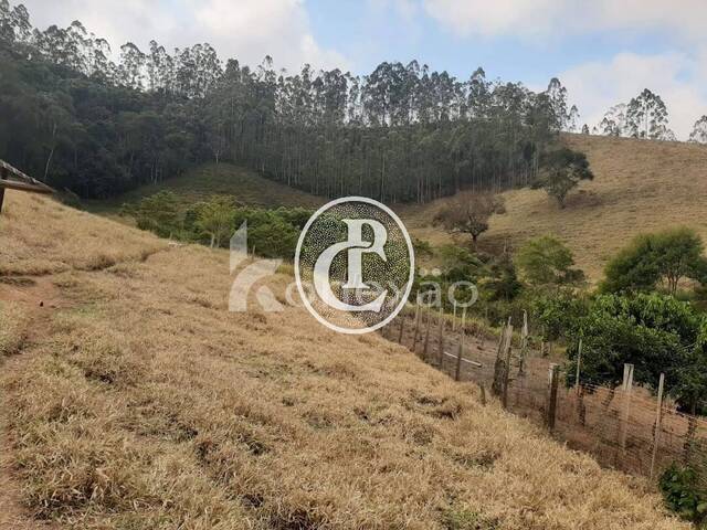 Sítio para Venda em Paraibuna - 3
