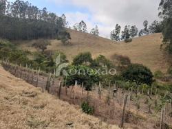 Sítio para Venda em Paraibuna - 2