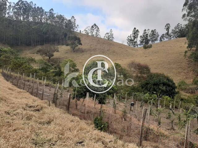 Sítio para Venda em Paraibuna - 2