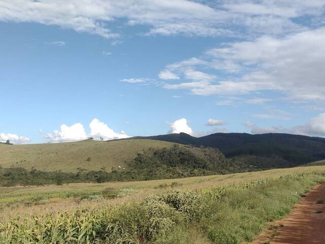 Fazenda para Venda em Carvalhos - 4