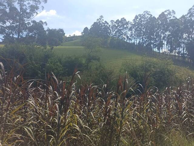 #si 1455 - Sítio para Venda em Paraibuna - SP