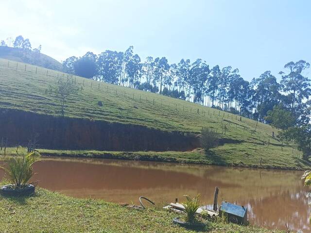 Sítio para Venda em Paraibuna - 5