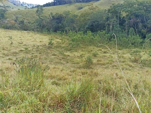#1471 - Fazenda para Venda em Paraibuna - SP