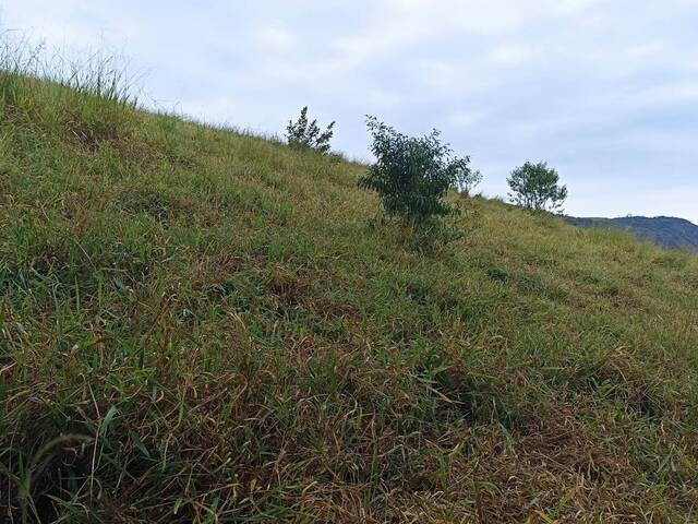 #1471 - Fazenda para Venda em Paraibuna - SP