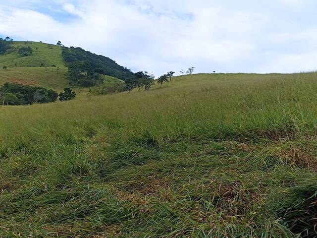 Venda em Lajeado - Paraibuna