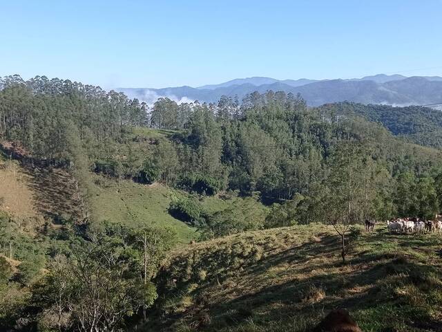 Venda em Roncador - São José dos Campos