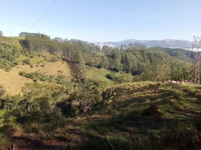 #1347 - Sítio para Venda em São José dos Campos - SP