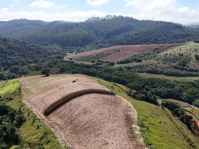 #1474 - Fazenda para Venda em Aiuruoca - MG