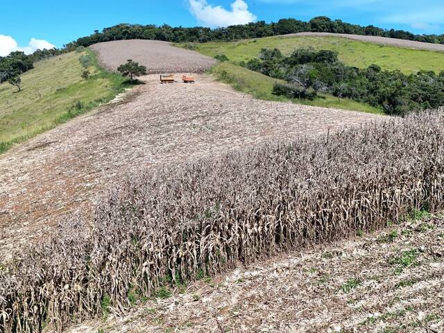 Fazenda para Venda em Aiuruoca - 4