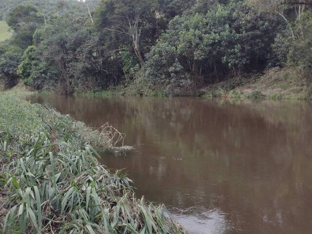 #1478 - Sítio para Venda em São Luíz do Paraitinga - SP