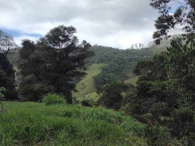 Sítio para Venda em São Luíz do Paraitinga - 4