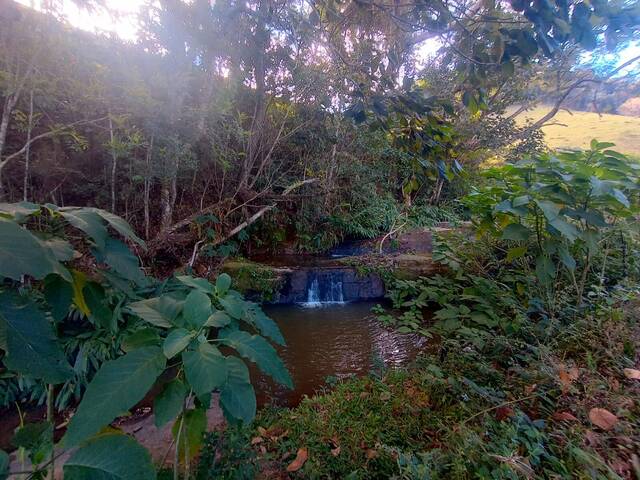 Sítio para Venda em Natividade da Serra - 4