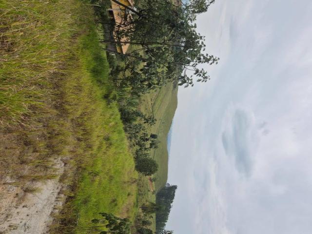 Chácara para Venda em Caçapava - 4
