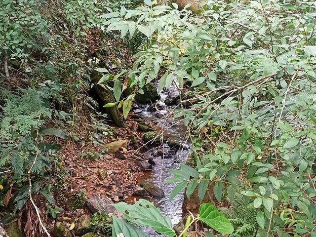 #1481 - Sítio para Venda em Jambeiro - SP