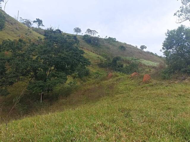 Sítio para Venda em Jambeiro - 5