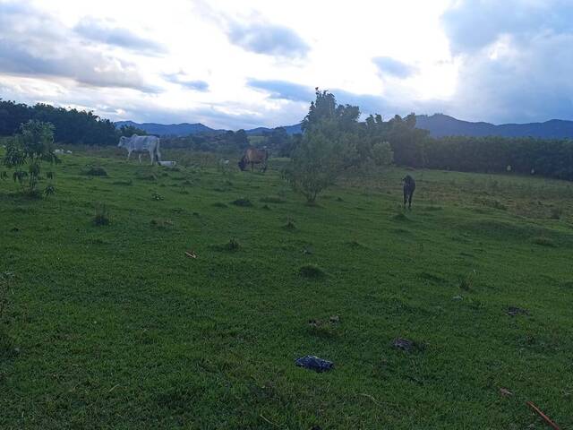 #1485 - Fazenda para Venda em Taubaté - SP