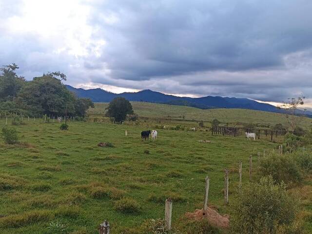 Venda em Estiva - Taubaté