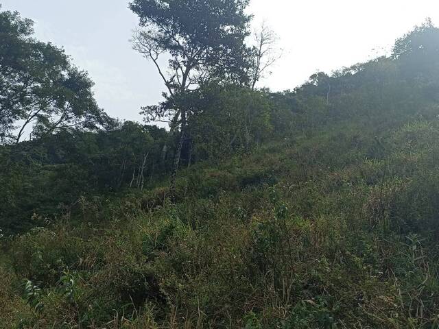 #1486 - Chácara para Venda em São José dos Campos - SP