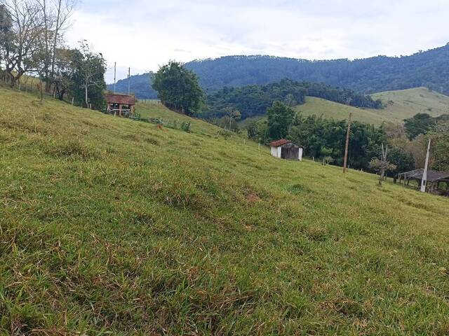 #1488 - Fazenda para Venda em Paraibuna - SP