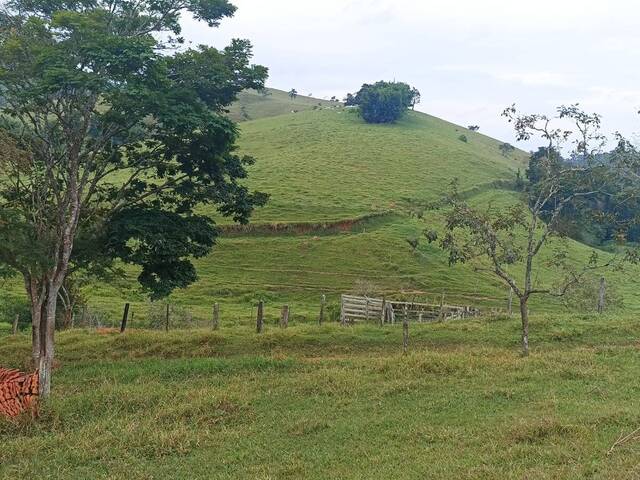 Fazenda para Venda em Paraibuna - 4