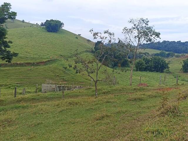 Fazenda para Venda em Paraibuna - 5
