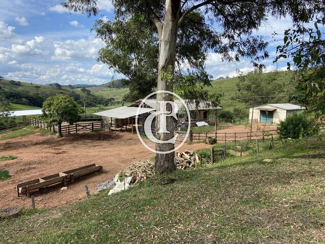 #1505 - Fazenda para Venda em Caxambu - MG