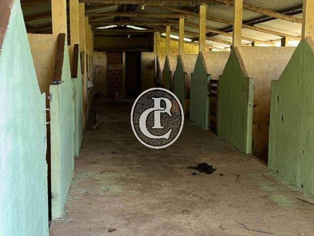 Chácara para Venda em Paraibuna - 4