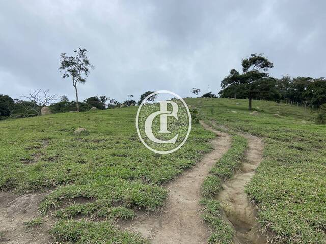 Sítio para Venda em São Luíz do Paraitinga - 4