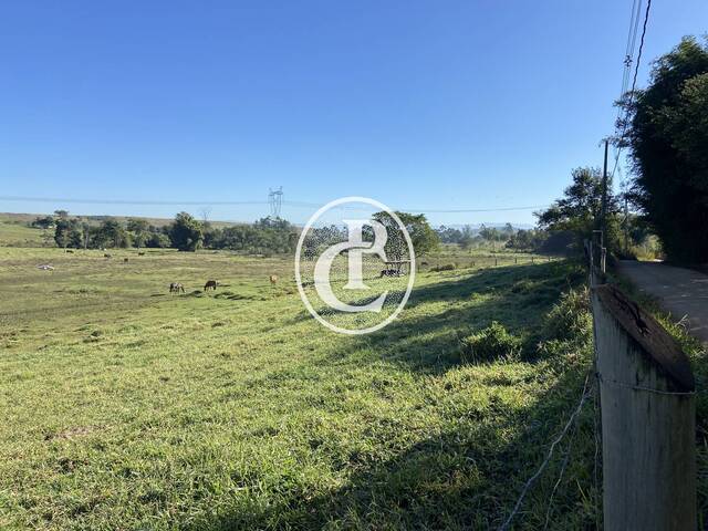 Área para Venda em Caçapava - 4