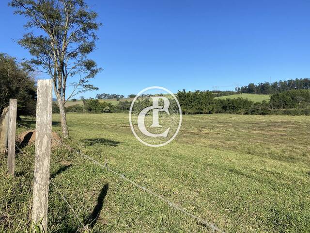Área para Venda em Caçapava - 5