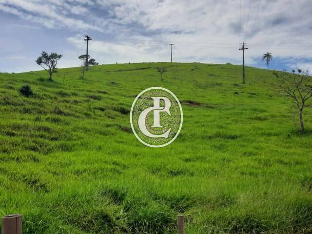#1525 - Fazenda para Venda em Paraibuna - SP