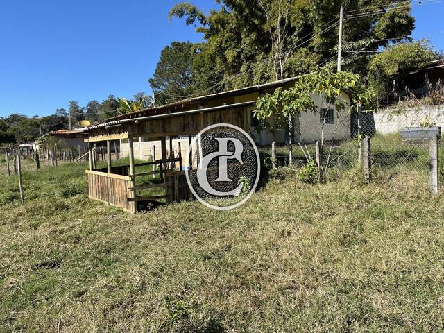 Sítio para Venda em Taubaté - 4