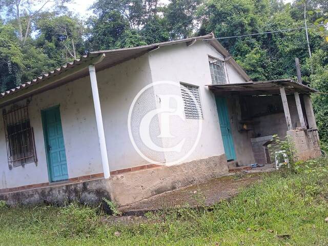 #1549 - Fazenda para Venda em Miracatu - SP