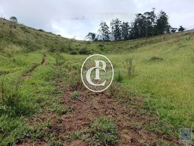 #1572 - Sítio para Venda em São José dos Campos - SP