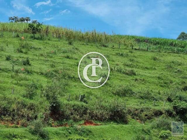 Sítio para Venda em São José dos Campos - 5
