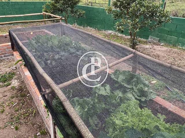 Sítio 23 Alqueires ou 55 HECTARES  Plano com Pasto em Para