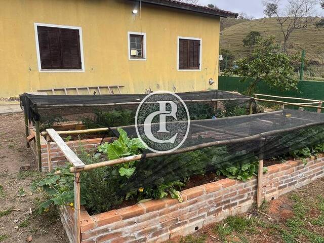 Sítio 23 Alqueires ou 55 HECTARES  Plano com Pasto em Para