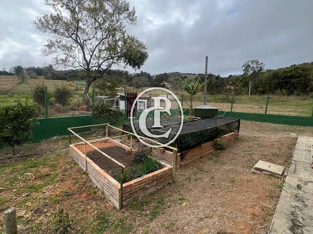 Sítio 23 Alqueires ou 55 HECTARES  Plano com Pasto em Para