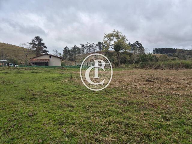 Sítio 23 Alqueires ou 55 HECTARES  Plano com Pasto em Para