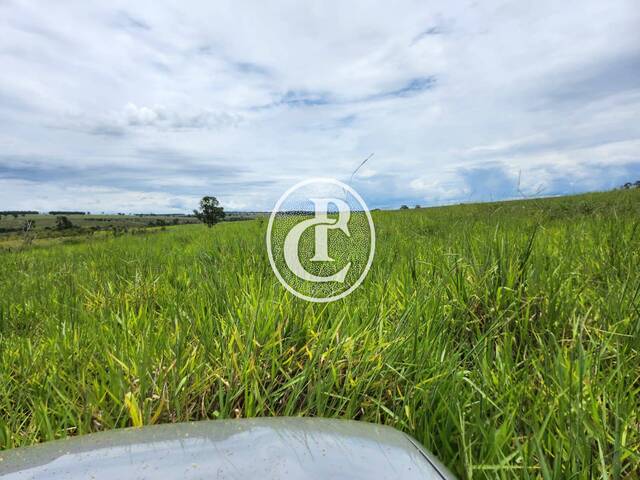 Fazenda para Venda em Campo Grande - 4