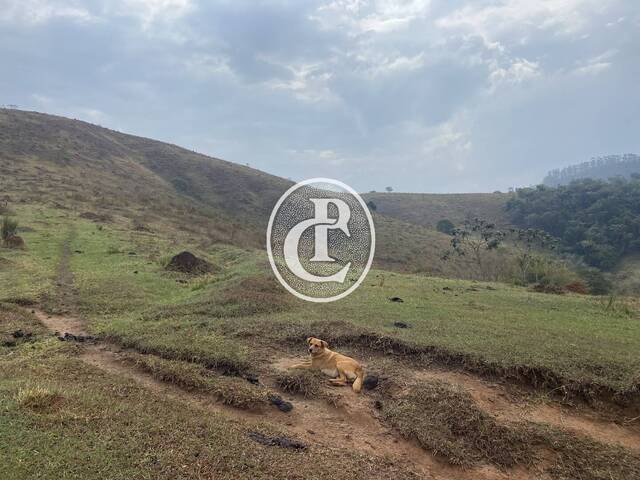 Sítio para Venda em São José dos Campos - 5